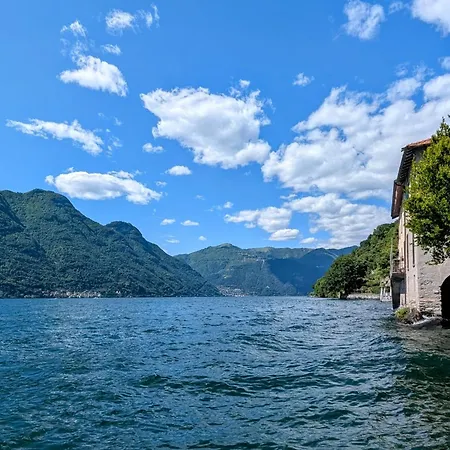 The Sunflower Of * Pognana Lario