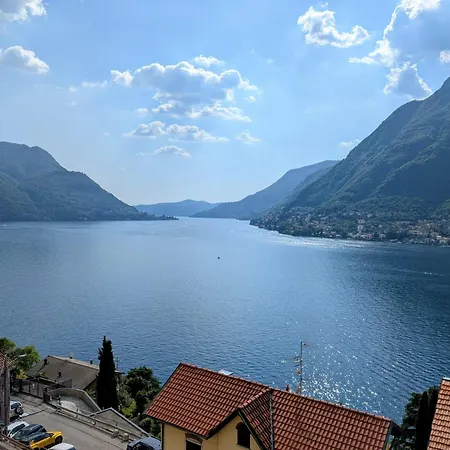 The Sunflower Of Pognana Lario