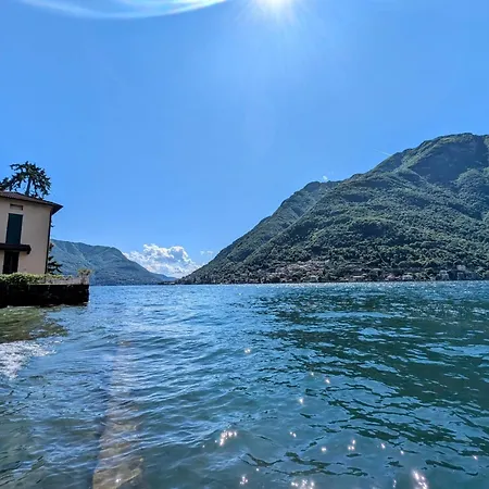 The Sunflower Of *