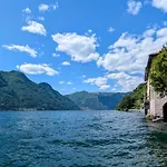 The Sunflower Of * Pognana Lario