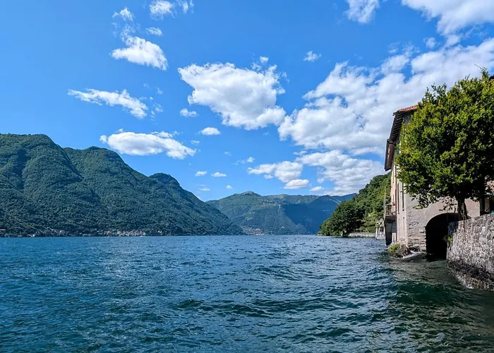 The Sunflower Of * Pognana Lario